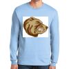 Ultra Cotton ® 100% US Cotton Long Sleeve T Shirt Thumbnail