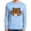 Ultra Cotton ® 100% US Cotton Long Sleeve T Shirt Thumbnail