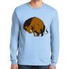Ultra Cotton ® 100% US Cotton Long Sleeve T Shirt Thumbnail