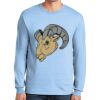 Ultra Cotton ® 100% US Cotton Long Sleeve T Shirt Thumbnail