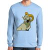 Ultra Cotton ® 100% US Cotton Long Sleeve T Shirt Thumbnail