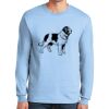 Ultra Cotton ® 100% US Cotton Long Sleeve T Shirt Ultra Cotton ® 100% US Cotton Long Sleeve T Shirt Thumbnail