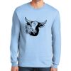 Ultra Cotton ® 100% US Cotton Long Sleeve T Shirt Thumbnail