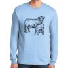 Ultra Cotton ® 100% US Cotton Long Sleeve T Shirt Ultra Cotton ® 100% US Cotton Long Sleeve T Shirt Thumbnail