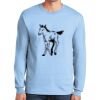Ultra Cotton ® 100% US Cotton Long Sleeve T Shirt Ultra Cotton ® 100% US Cotton Long Sleeve T Shirt Thumbnail