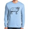 Ultra Cotton ® 100% US Cotton Long Sleeve T Shirt Ultra Cotton ® 100% US Cotton Long Sleeve T Shirt Thumbnail