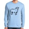 Ultra Cotton ® 100% US Cotton Long Sleeve T Shirt Ultra Cotton ® 100% US Cotton Long Sleeve T Shirt Thumbnail