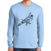 Ultra Cotton ® 100% US Cotton Long Sleeve T Shirt Ultra Cotton ® 100% US Cotton Long Sleeve T Shirt Thumbnail