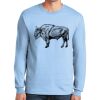 Ultra Cotton ® 100% US Cotton Long Sleeve T Shirt Ultra Cotton ® 100% US Cotton Long Sleeve T Shirt Thumbnail
