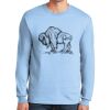 Ultra Cotton ® 100% US Cotton Long Sleeve T Shirt Ultra Cotton ® 100% US Cotton Long Sleeve T Shirt Thumbnail