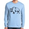 Ultra Cotton ® 100% US Cotton Long Sleeve T Shirt Ultra Cotton ® 100% US Cotton Long Sleeve T Shirt Thumbnail