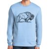 Ultra Cotton ® 100% US Cotton Long Sleeve T Shirt Ultra Cotton ® 100% US Cotton Long Sleeve T Shirt Thumbnail
