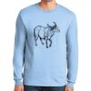 Ultra Cotton ® 100% US Cotton Long Sleeve T Shirt Ultra Cotton ® 100% US Cotton Long Sleeve T Shirt Thumbnail
