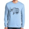 Ultra Cotton ® 100% US Cotton Long Sleeve T Shirt Ultra Cotton ® 100% US Cotton Long Sleeve T Shirt Thumbnail